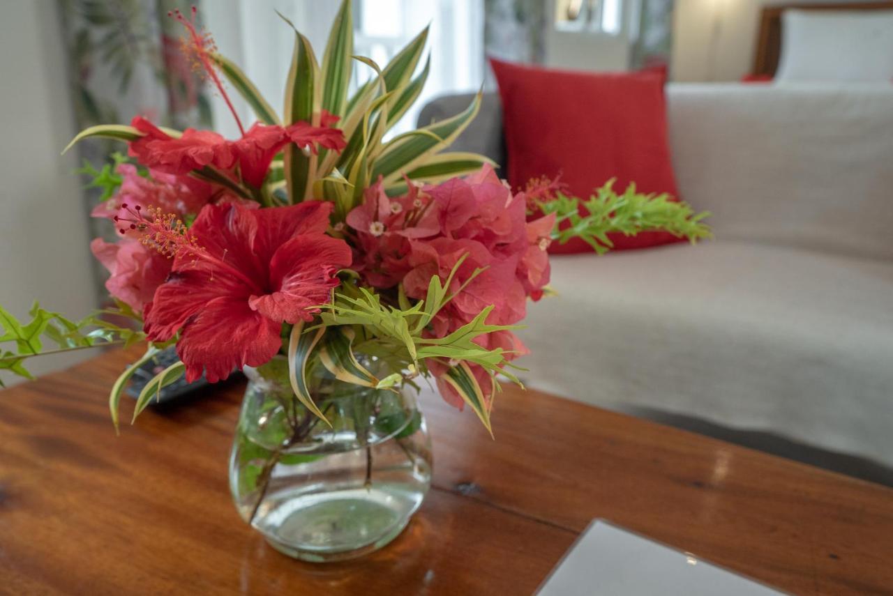 בו ואלון La Maison Hibiscus Self Catering Accommodation מראה חיצוני תמונה